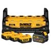 WHAT'S NEW Dewalt DCB1800M3T1 Portable Power Station W 3-20V And 1-60V Batteries