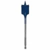 ACCESSORIES Bosch DSB1013 - 1" DareDevil Spade Bit
