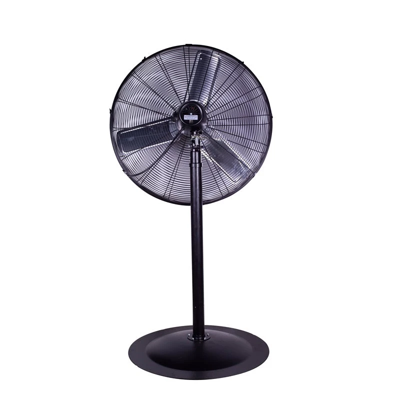 WHAT'S NEW BE FP30 - 30" Oscillating Pedestal Fan 4 WHAT'S NEW BE FP30 - 30" Oscillating Pedestal Fan